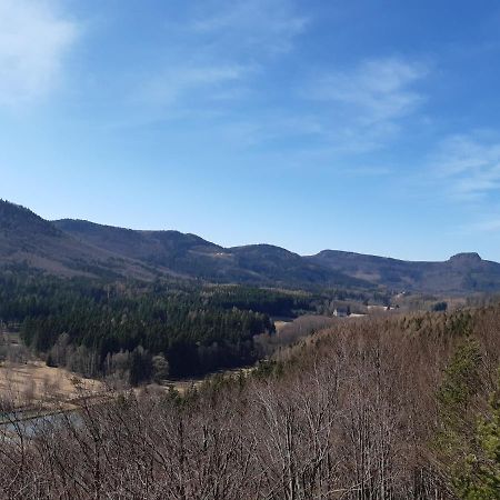 Agroturystyka Tam Gdzie Sosny Ścinawka Dolna Extérieur photo