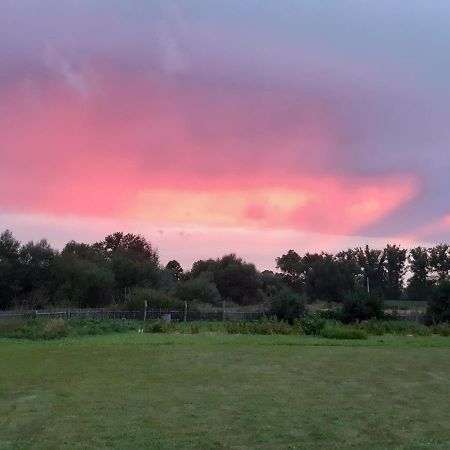 Agroturystyka Tam Gdzie Sosny Ścinawka Dolna Extérieur photo