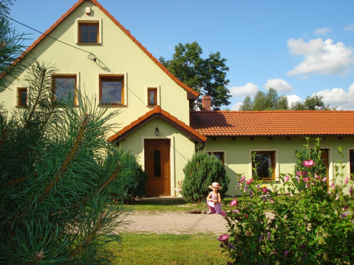 Agroturystyka Tam Gdzie Sosny Ścinawka Dolna Extérieur photo