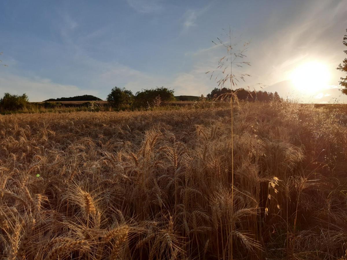 Agroturystyka Tam Gdzie Sosny Ścinawka Dolna Extérieur photo