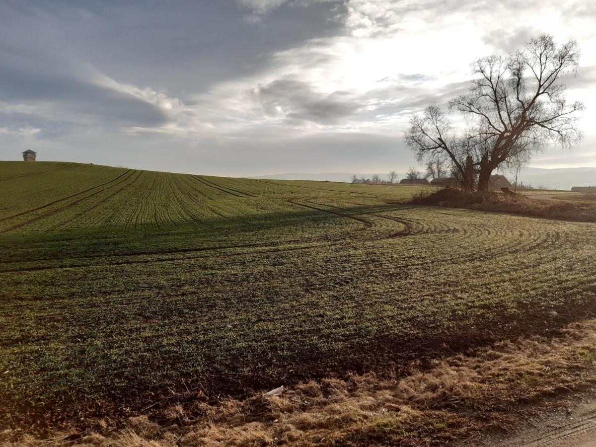 Agroturystyka Tam Gdzie Sosny Ścinawka Dolna Extérieur photo