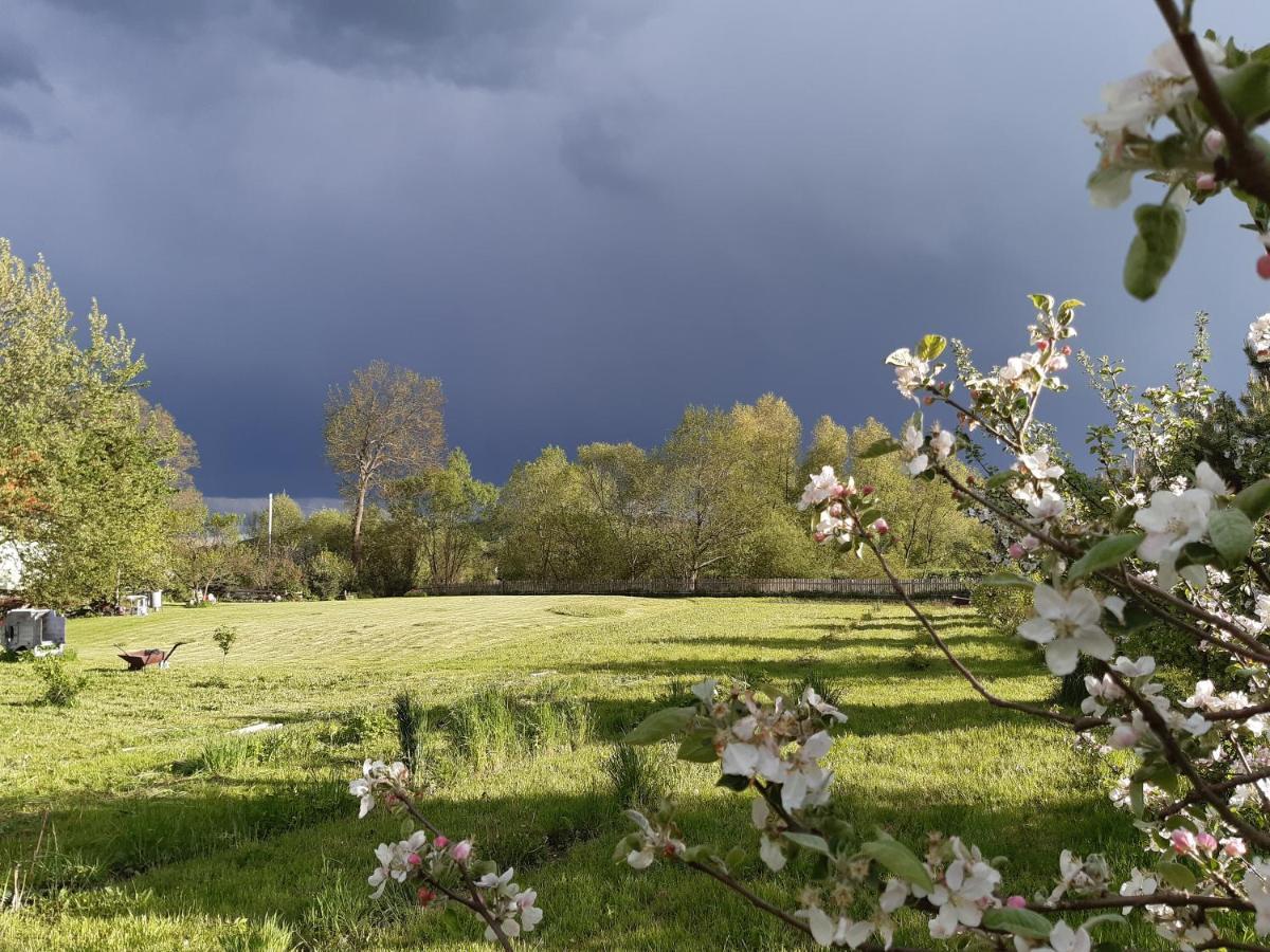 Agroturystyka Tam Gdzie Sosny Ścinawka Dolna Extérieur photo