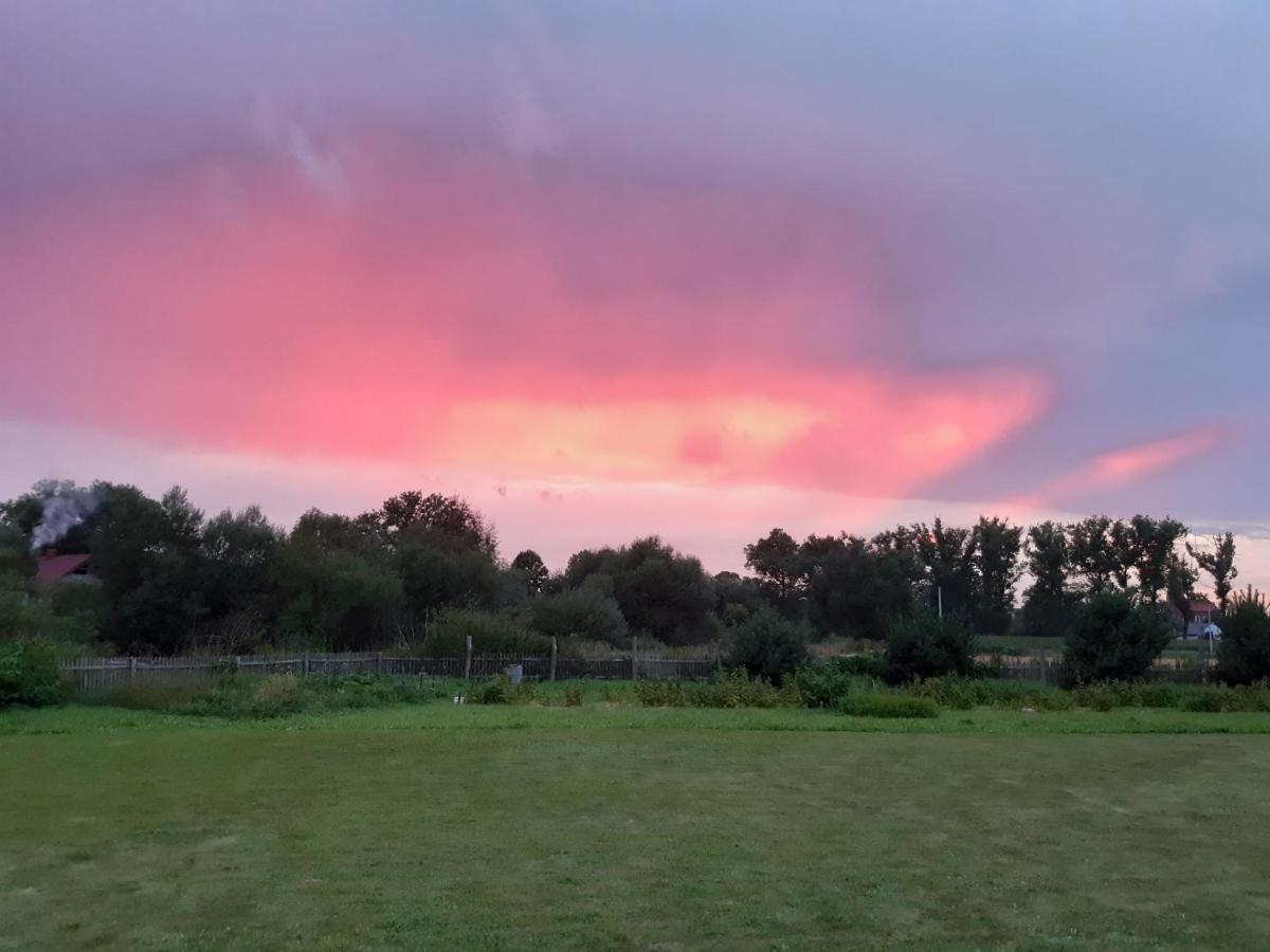 Agroturystyka Tam Gdzie Sosny Ścinawka Dolna Extérieur photo